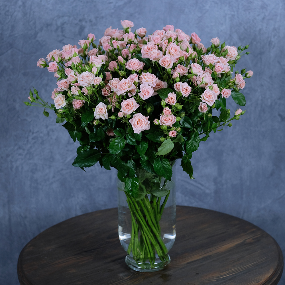 Розы кустовые нежно-розовые Lydia