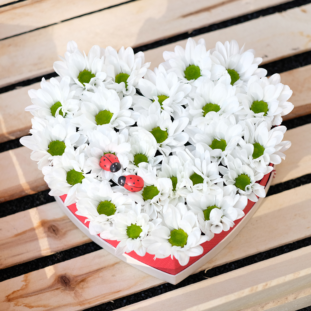 Композиция-сердце из ромашковых хризантем &laquo;Лето!&raquo;