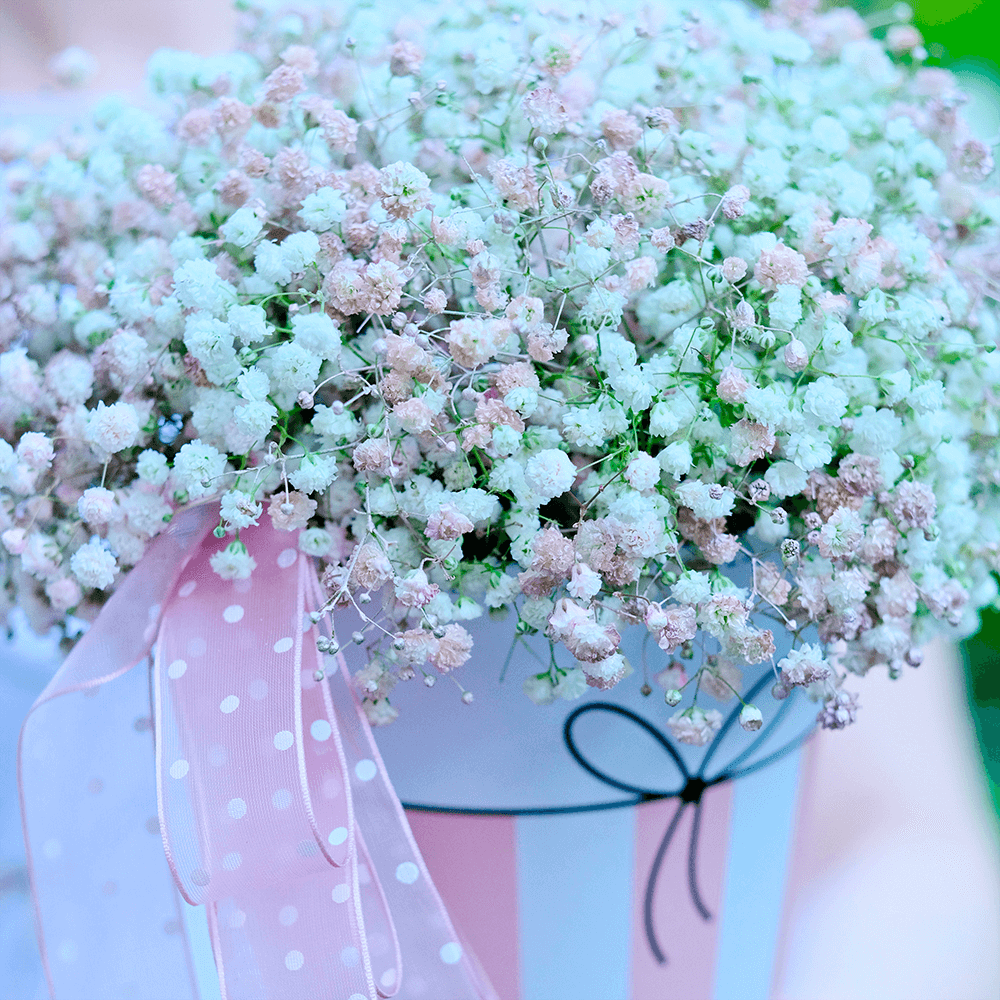 Композиция-комплимент с гипсофилой