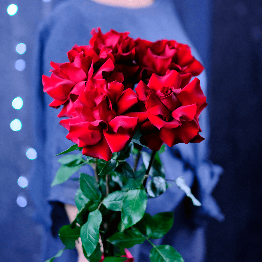 Букет французских роз Букет французских роз