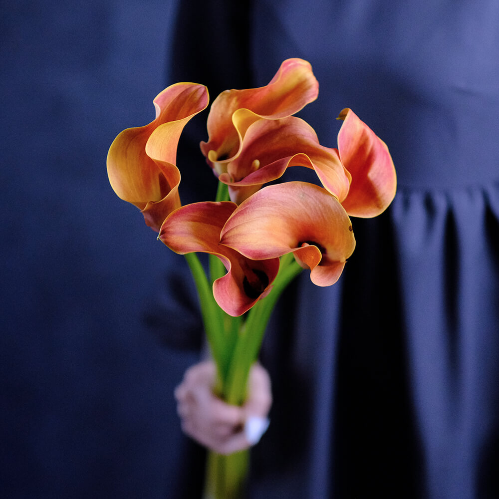 Цветы каллы