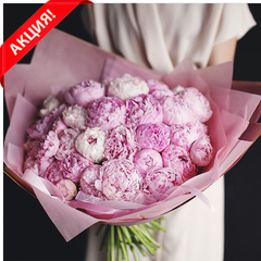 Букет 39 пионов "Sarah Bernhardt"