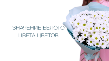 Значение белого цвета цветов
