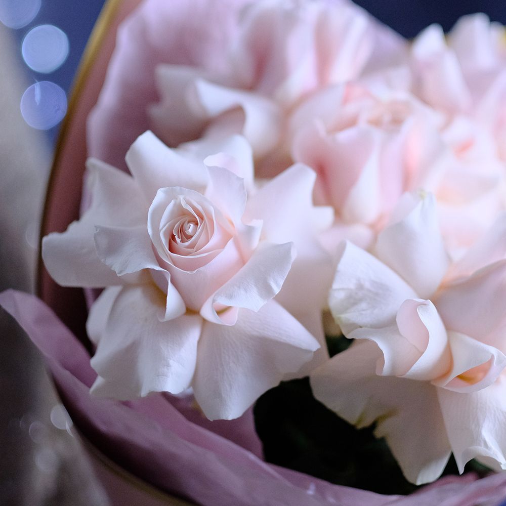 Розы французские Pink от 9шт