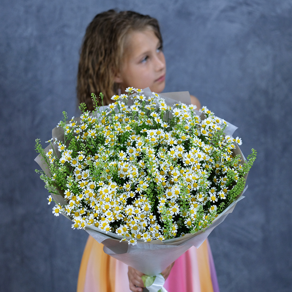 Доставка цветов Пермь купить красивый букет ромашек онлайн заказ круглосуточно