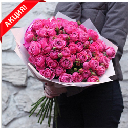 Купить букет 19 розовых кустовых пионовидных роз Мисти Баблс в Перми