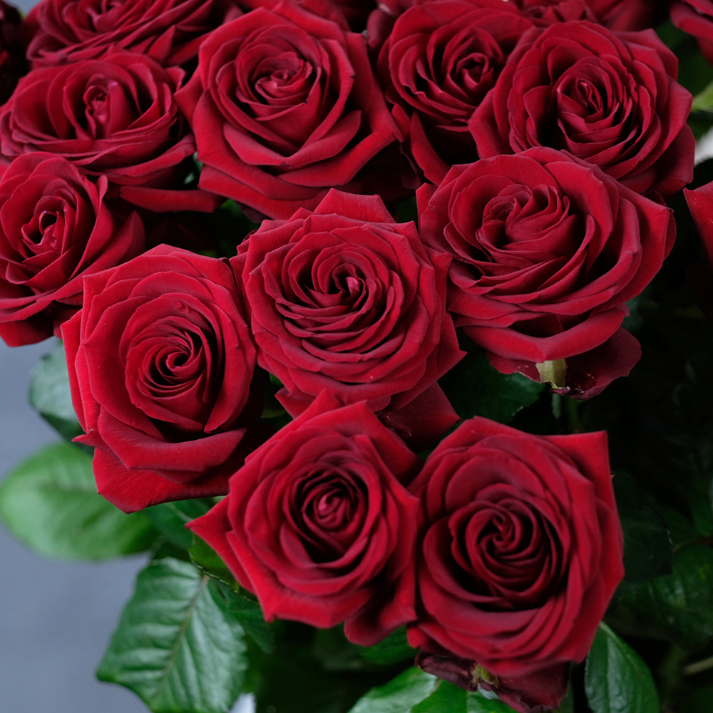 Букет 25 высоких красных роз