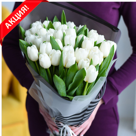 Букет 35 белых тюльпанов Snowboard #815