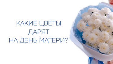 Какие цветы дарят на День матери?