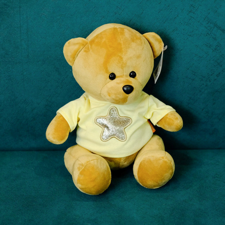 Мягкая игрушка Мишка Звезда 25см