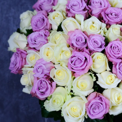 Букет 51 роза "Лунная соната"