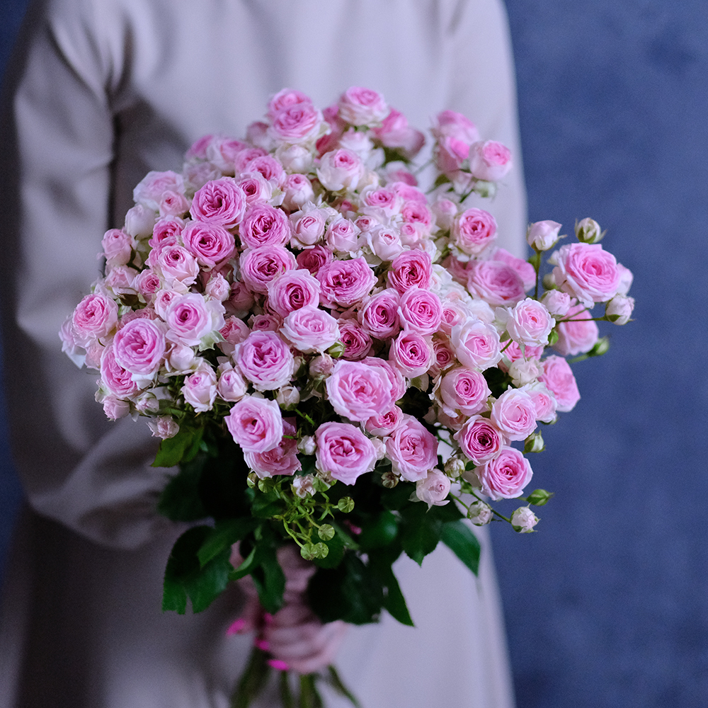 Розы кустовые пионовидные Kate Lynn