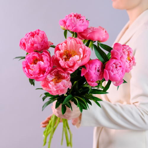 Купить Букет пионов Корал Шарм