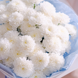 Букет из кустовых хризантем Алтай