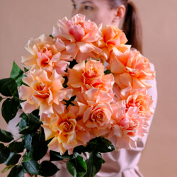 Розы французские Amaretto от 9шт