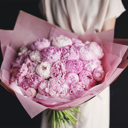 Пионы розовые "Sarah Bernhardt" от 3шт