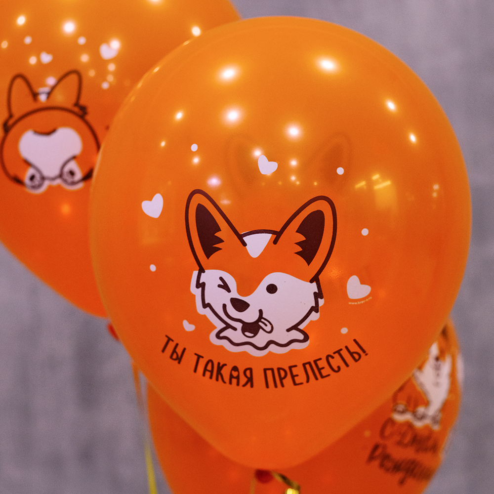 Воздушные шары "С днем рождения" Корги