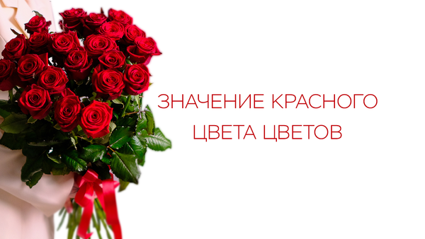Значение красного цвета цветов Значение красного цвета цветов