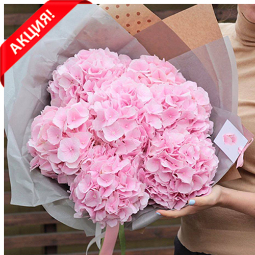 Купить Гортензии розовые от 3шт