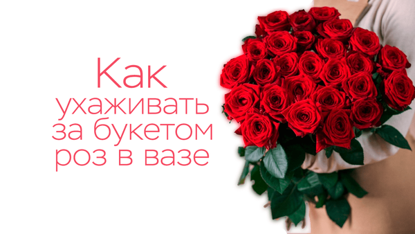 Как ухаживать за букетом роз в вазе? Как ухаживать за букетом роз в вазе?