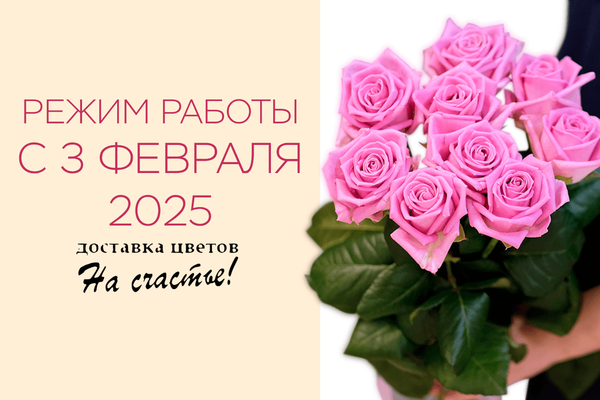 Режим работы с 03 февраля 2025