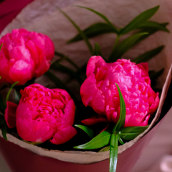 Букет пионов #23