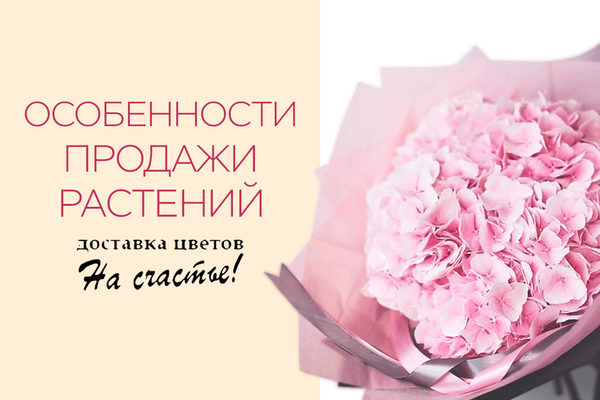 Особенности продажи растений