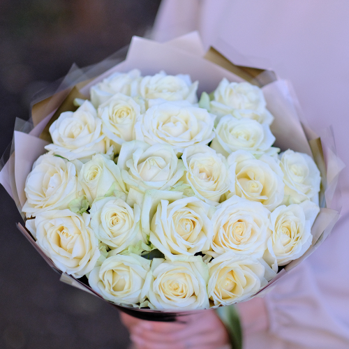 Купить Нежный букет 21 белая роза "Признание"