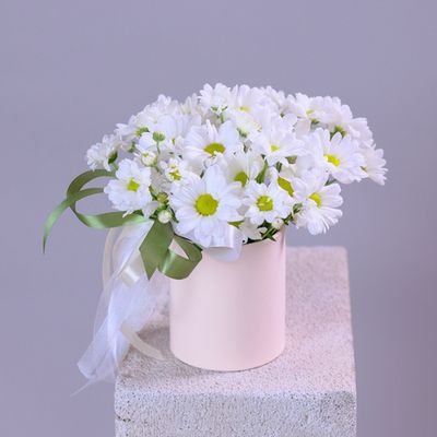 Цветы для коллеги