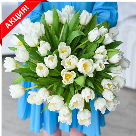 Букет 101 белый тюльпан