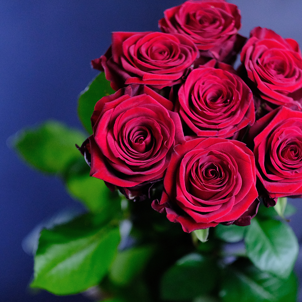 Букет высоких красных роз Red Naomi
