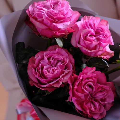 Купить Букет пионовидных роз Country Blues, 5 шт.