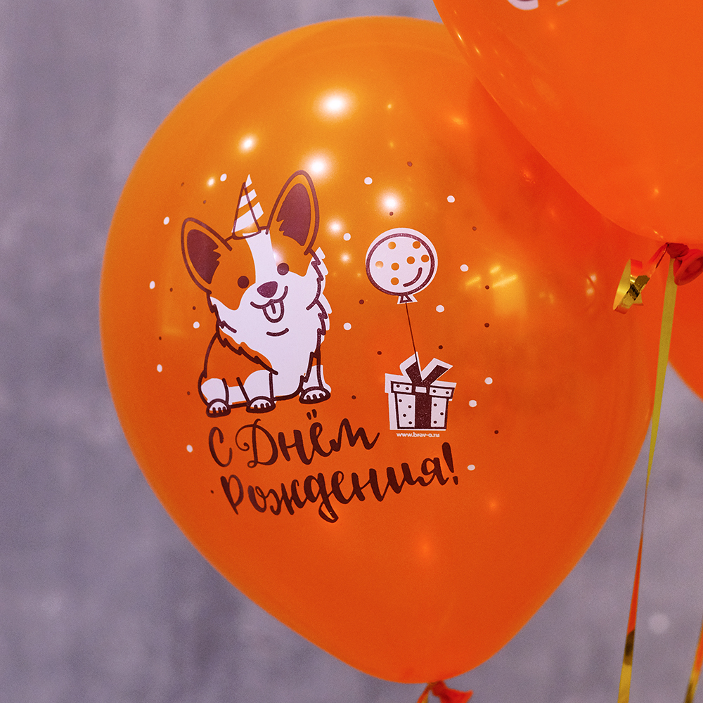 воздушные гелиевые шарики с днем рождения корги оранжевые белые пермь купить заказать с доставкой на дом