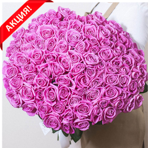 Купить Букет 101 розовая роза Aqua