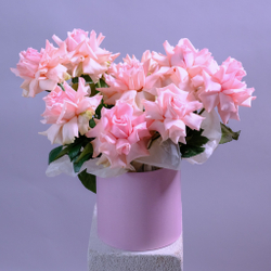 Французские розы в шляпной коробке #905