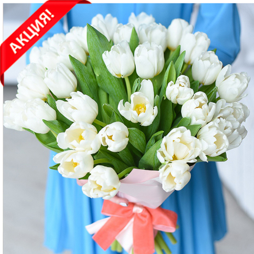 Купить Букет 51 белый тюльпан