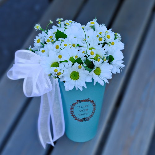 Купить Композиция-комплимент с ромашками