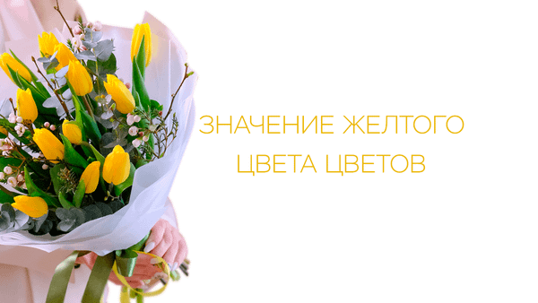 Значение желтого цвета цветов