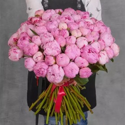 Пионы розовые "Sarah Bernhardt" от 3шт