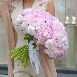 Пионы розовые "Sarah Bernhardt" от 3шт