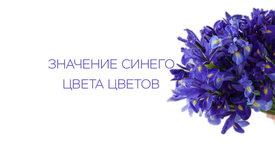 Значение синего цвета цветов