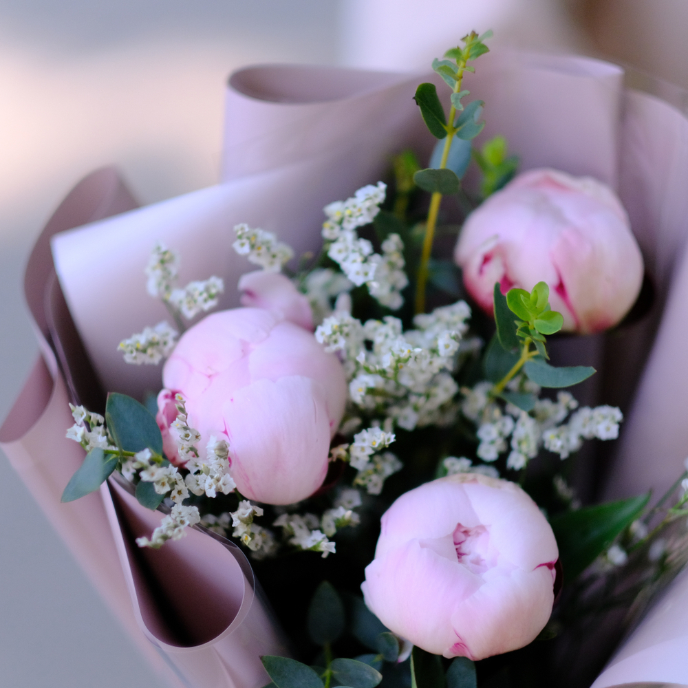 Букет-комплимент из пионов #520