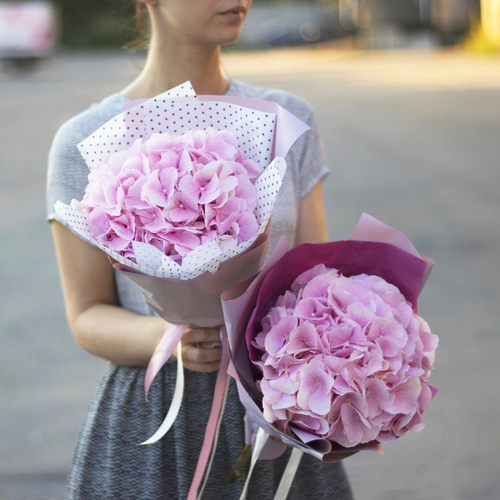 Купить Ветка розовой гортензии Verena