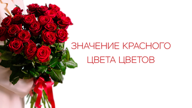 Значение красного цвета цветов