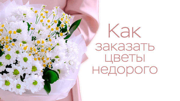 Как заказать цветы недорого? Как заказать цветы недорого?