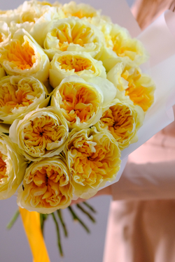 Букет садовых роз Антония Лемон #231