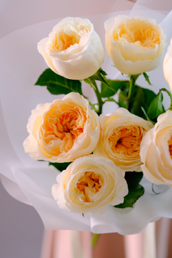 Букет садовых роз Вики Айвори #221