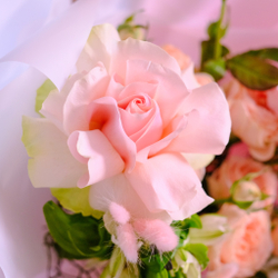 Нежный букет с французской розой #724