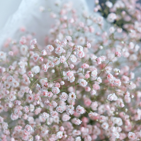 Букет из гипсофилы «‎Розовое облачко»