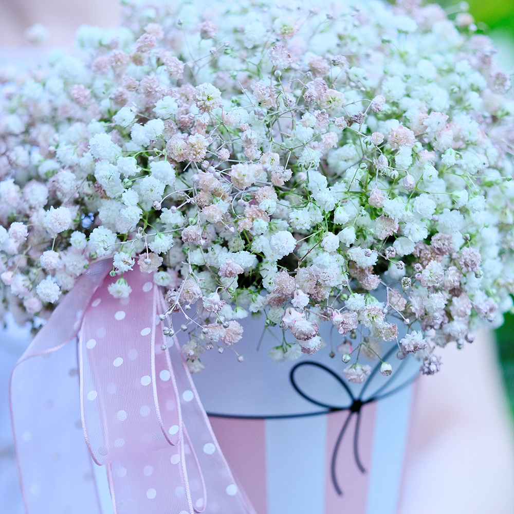 Композиция-комплимент с гипсофилой